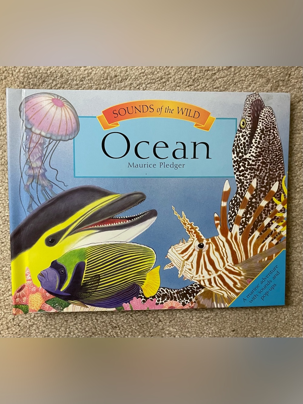 : Ocean by Maurice Pledger - Hardcover